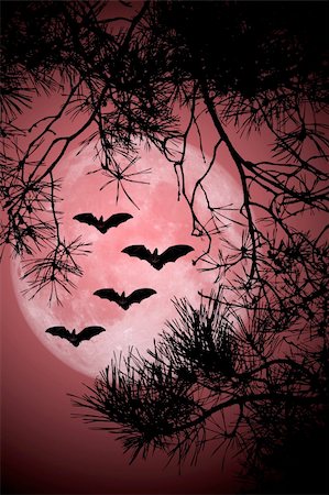 This image shows flying bats in a Halloween night with full moon Stock Photo - Budget Royalty-Free & Subscription, Code: 400-05142243