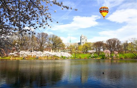 The Cherry Blossom Festival in Branch Brook Park New Jersey Photographie de stock - Aubaine LD & Abonnement, Code: 400-05142555