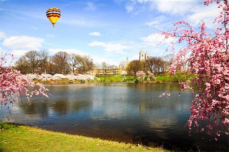 The Cherry Blossom Festival in Branch Brook Park New Jersey Photographie de stock - Aubaine LD & Abonnement, Code: 400-05142557