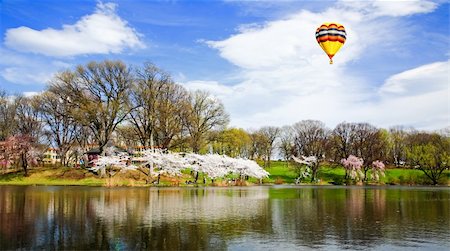 simsearch:400-05142617,k - The Cherry Blossom Festival in Branch Brook Park New Jersey Stockbilder - Microstock & Abonnement, Bildnummer: 400-05142553