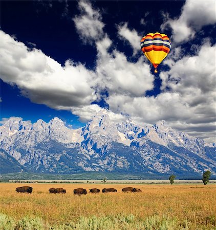 simsearch:400-05142655,k - Bisons at the Antelope Flats in Grand Teton National Park USA Foto de stock - Super Valor sin royalties y Suscripción, Código: 400-05142656