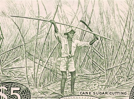 simsearch:400-05384689,k - Sugar Cane Harvesting on 5 Dollars 1989 Banknote from Guyana Stock Photo - Budget Royalty-Free & Subscription, Code: 400-05155117