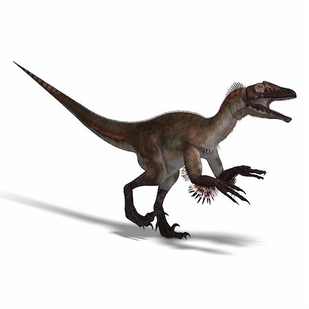 simsearch:400-05130767,k - Dinosaur Utahraptor. 3D render with clipping path and shadow over white Stock Photo - Budget Royalty-Free & Subscription, Code: 400-05155411