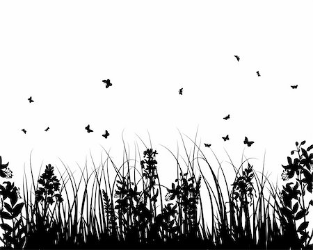 Vector grass silhouettes background for design use Stock Photo - Budget Royalty-Free & Subscription, Code: 400-05155949