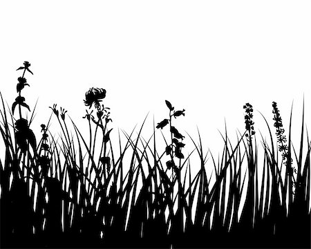 Vector grass silhouettes background for design use Stock Photo - Budget Royalty-Free & Subscription, Code: 400-05155950