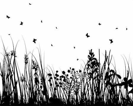 simsearch:400-05663944,k - Vector grass silhouettes background for design use Stock Photo - Budget Royalty-Free & Subscription, Code: 400-05155951