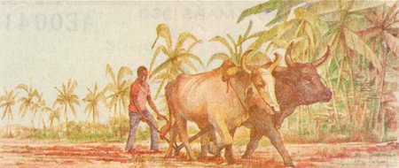 simsearch:400-05156209,k - Plowing with Water Buffalo on 50 Francs 1985 Banknote from Guinea Stock Photo - Budget Royalty-Free & Subscription, Code: 400-05156209