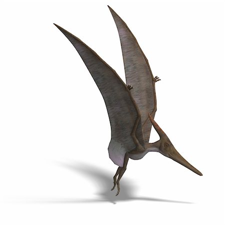 simsearch:400-04793730,k - flying dinosuar Pteranodon. 3D render with clipping path and shadow over white Foto de stock - Royalty-Free Super Valor e Assinatura, Número: 400-05156932