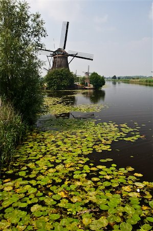 Traditional windmill of the Netherlands Stock Photo - Budget Royalty-Free & Subscription, Code: 400-05157185