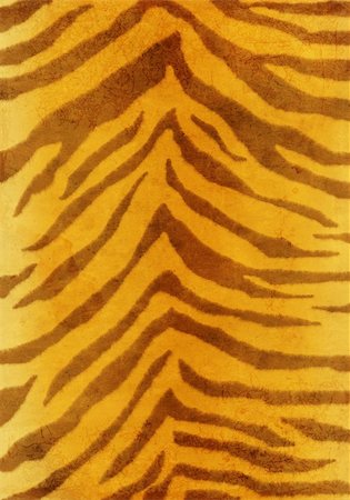 simsearch:400-05087373,k - Grunge background - striped fur of a tiger Stock Photo - Budget Royalty-Free & Subscription, Code: 400-05157664