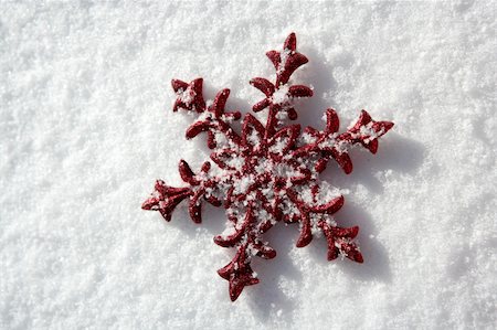 simsearch:400-05382600,k - Christmas red star in a snow day. Xtmas card Stockbilder - Microstock & Abonnement, Bildnummer: 400-05157798