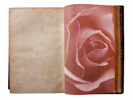 decaying antique books - Rose printed on the pages of an open aged old book Stock Photo - Budget Royalty-Free & Subscription, Code: 400-05157803