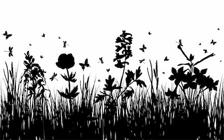 simsearch:400-05663944,k - Vector grass silhouettes background for design use. 16:10 Stock Photo - Budget Royalty-Free & Subscription, Code: 400-05158695