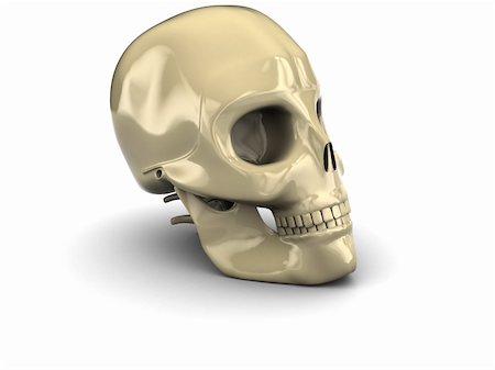 simsearch:400-05336507,k - 3d illstration of skull over white background Stockbilder - Microstock & Abonnement, Bildnummer: 400-05159080