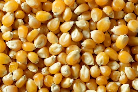Dried macro corn seeds in orange color, as a texture background crop Stock Photo - Budget Royalty-Free & Subscription, Code: 400-05159179