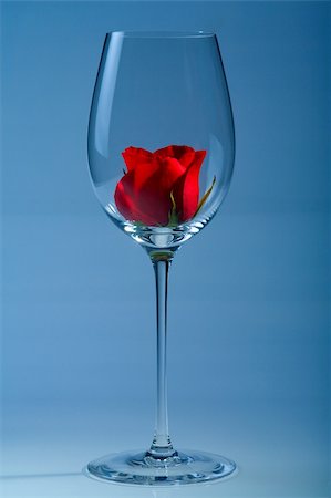 rose blue glass photos - Red rose in the glass, flower Stock Photo - Budget Royalty-Free & Subscription, Code: 400-05159340