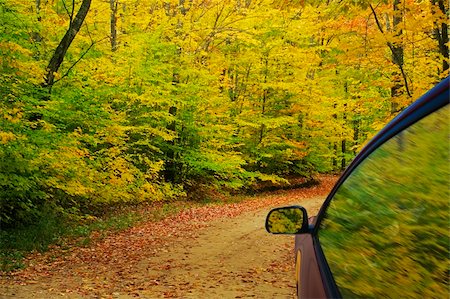 Gravel road leading through autumn colors Stock Photo - Budget Royalty-Free & Subscription, Code: 400-05159873