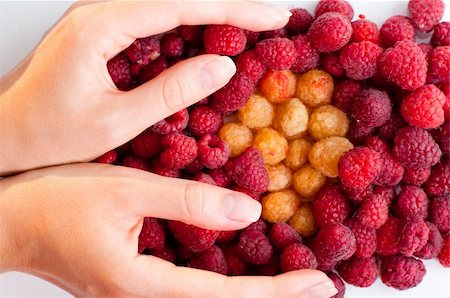 hand holding berries on white background Foto de stock - Super Valor sin royalties y Suscripción, Código: 400-05150146