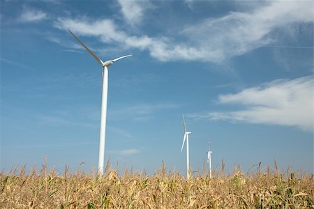 Wind turbines on an agricultural field Foto de stock - Super Valor sin royalties y Suscripción, Código: 400-05150212