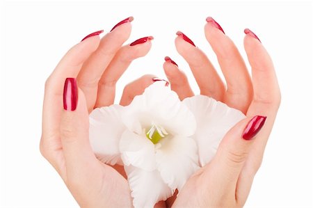 Closeup image of beautiful nails and woman fingers Stock Photo - Budget Royalty-Free & Subscription, Code: 400-05150274