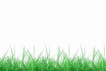 simsearch:400-05118067,k - Green meadow grass over white background with copy space Stock Photo - Budget Royalty-Free & Subscription, Code: 400-05150299
