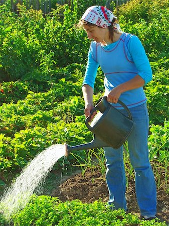 simsearch:652-03635670,k - woman watering vegetable bed at the rural farm Photographie de stock - Aubaine LD & Abonnement, Code: 400-05150449