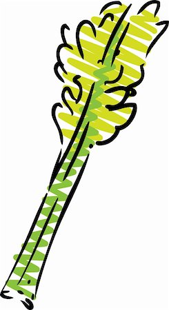 sketchy - Celery illustration, rough sketchy hand drawn style Stock Photo - Budget Royalty-Free & Subscription, Code: 400-05151214