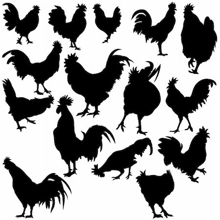Rooster Silhouettes - black hand drawn illustration as vector Stock Photo - Budget Royalty-Free & Subscription, Code: 400-05151358