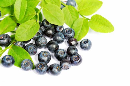 fresh blueberry Stock Photo - Budget Royalty-Free & Subscription, Code: 400-05151399