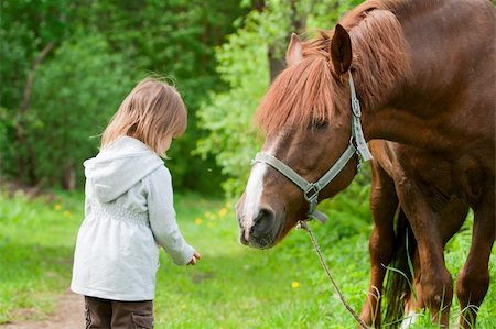 Total trust. Big chestnut horse pulls it's neck to little beautiful girl. Stock Photo - Budget Royalty-Free & Subscription, Code: 400-05151432