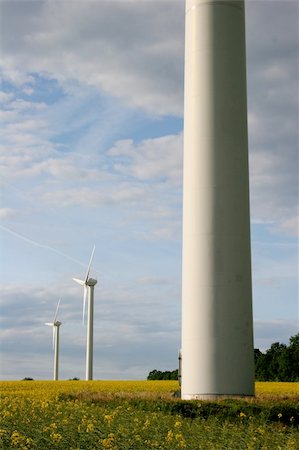simsearch:400-04736931,k - Alternative energies - Windmills and a rape field Foto de stock - Super Valor sin royalties y Suscripción, Código: 400-05151568