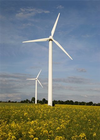 simsearch:400-04736931,k - Alternative energies - Windmills and a rape field Foto de stock - Super Valor sin royalties y Suscripción, Código: 400-05151569