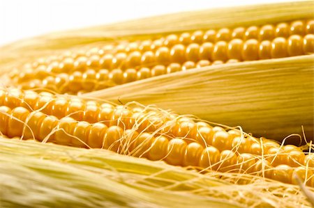 vegetable series: macro picture of golden corn Stock Photo - Budget Royalty-Free & Subscription, Code: 400-05152773