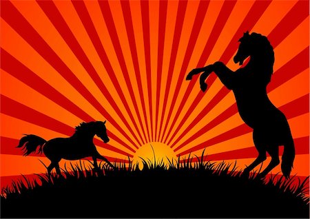 Two silhouetted horses in a field at sunset Stock Photo - Budget Royalty-Free & Subscription, Code: 400-05153118