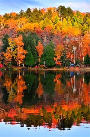 Forest of colorful autumn trees reflecting in calm lake Stock Photo - Budget Royalty-Free & Subscription, Code: 400-05153709