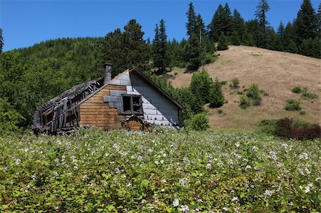 run down poor house - An old house being taken over by blackberry bushes in central Oregon Stock Photo - Budget Royalty-Free & Subscription, Code: 400-05153888