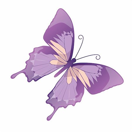 simsearch:633-02417540,k - The butterfly  on a white background. Vector Foto de stock - Super Valor sin royalties y Suscripción, Código: 400-05164736
