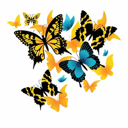 simsearch:633-02417540,k - The butterfly on a white background. Vector illustration Foto de stock - Super Valor sin royalties y Suscripción, Código: 400-05164738