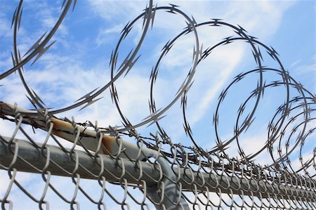 simsearch:400-04735037,k - Barbed wire fence Stockbilder - Microstock & Abonnement, Bildnummer: 400-05165545