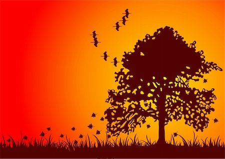 Autumn tree silhouette with it's leaves blowing in the fall wind Stock Photo - Budget Royalty-Free & Subscription, Code: 400-05165888