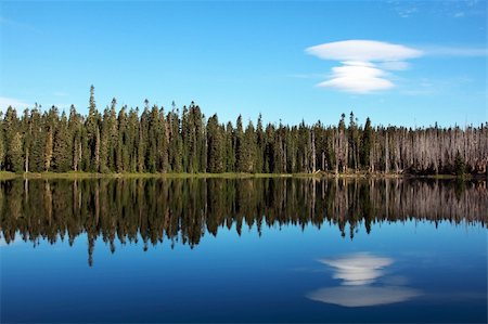 Reflection in a mountain lake of a row of Pines with an unusual cloud Stock Photo - Budget Royalty-Free & Subscription, Code: 400-05165906