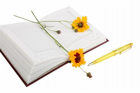 Empty open diary, yellow flowers and yellow ball point pen. Close-up. Isolated on white background. Stock Photo - Budget Royalty-Free & Subscription, Code: 400-05166484