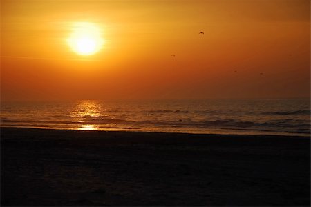 beautiful red sunrise at sea with birds Stock Photo - Budget Royalty-Free & Subscription, Code: 400-05166710