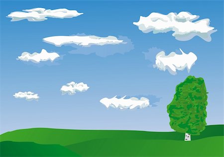 Vector image of tree over blue sky Stock Photo - Budget Royalty-Free & Subscription, Code: 400-05167197