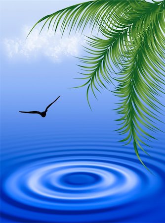 Water ripple under a blue and cloudy sky with palm Foto de stock - Super Valor sin royalties y Suscripción, Código: 400-05167262