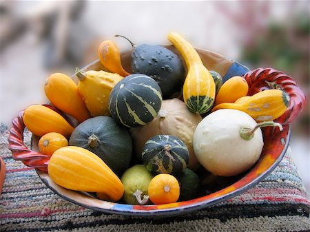 rogues - Basket full of little different coloured pumpkins Stockbilder - Microstock & Abonnement, Bildnummer: 400-05168398
