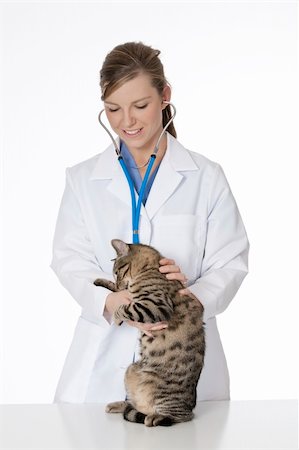 Beautiful Caucasian woman Veterinarian examining a kitten Stock Photo - Budget Royalty-Free & Subscription, Code: 400-05168565
