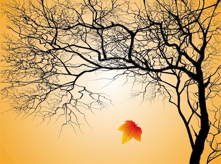 falling leaves background - Tree without leaves on an autumn background Stock Photo - Budget Royalty-Free & Subscription, Code: 400-05168671