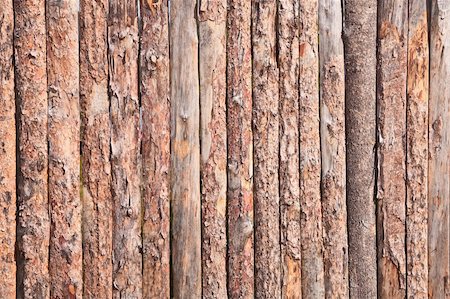 simsearch:400-06788233,k - Rural primitive fence from raw pine logs Stock Photo - Budget Royalty-Free & Subscription, Code: 400-05169600