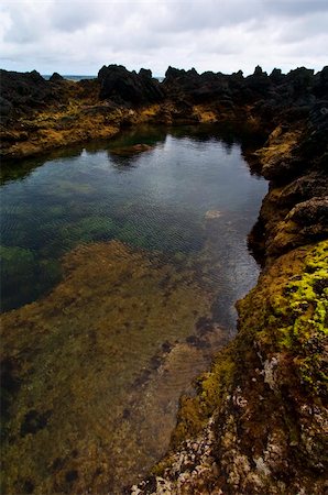 Natural sea water pool at Biscoitos in Azores Stock Photo - Budget Royalty-Free & Subscription, Code: 400-05169664